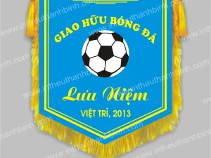 Cờ thêu 20