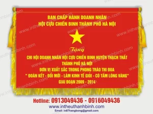 Cờ thêu 30