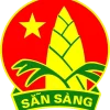 Huy hiệu đội